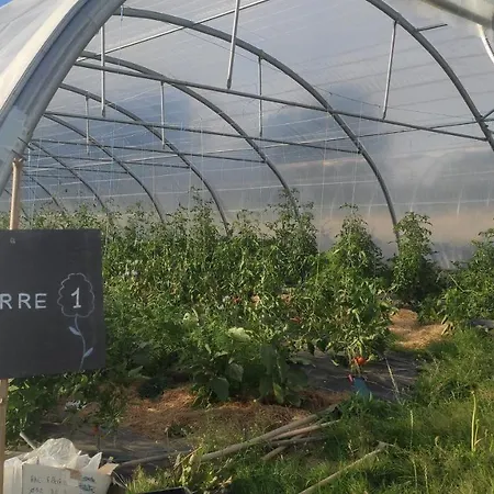 Eco-Gite A La Ferme D'Elles Saint-Andre-de-l'Epine Extérieur photo